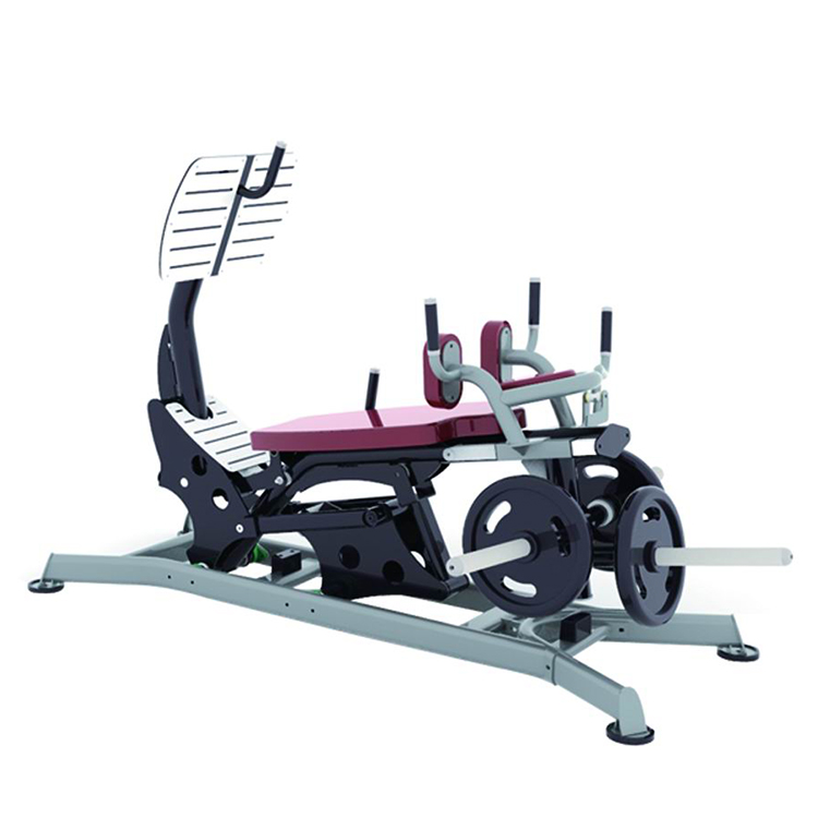 Home Gym With Leg Press - Machine de presse de jambe d'équipement