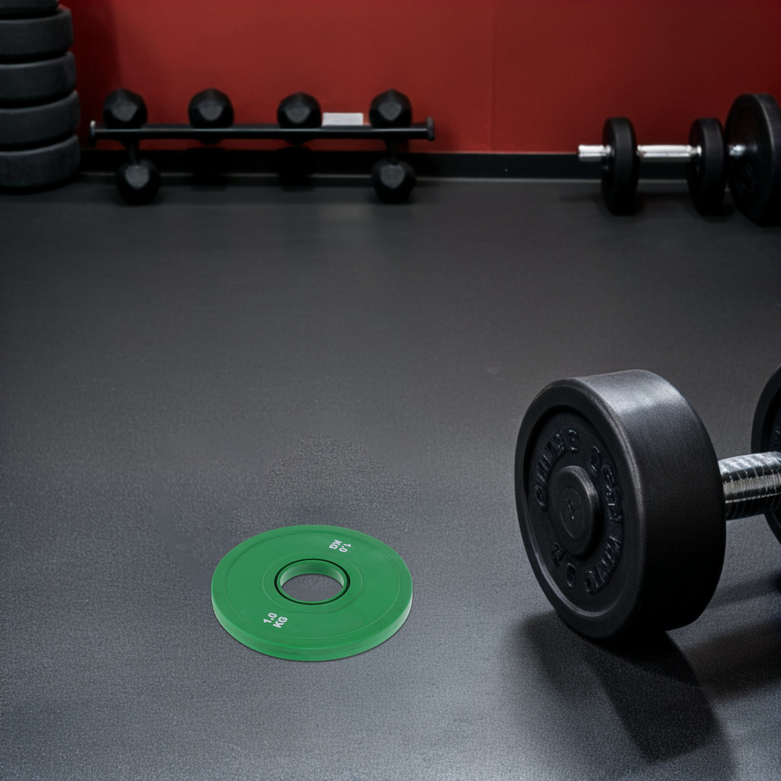 Weight Plate Bumper - Plaques de poids en caoutchouc pour
