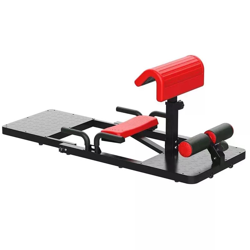 Home Gym Quad - Machine à Squats Sissy 3-en-1 pour
