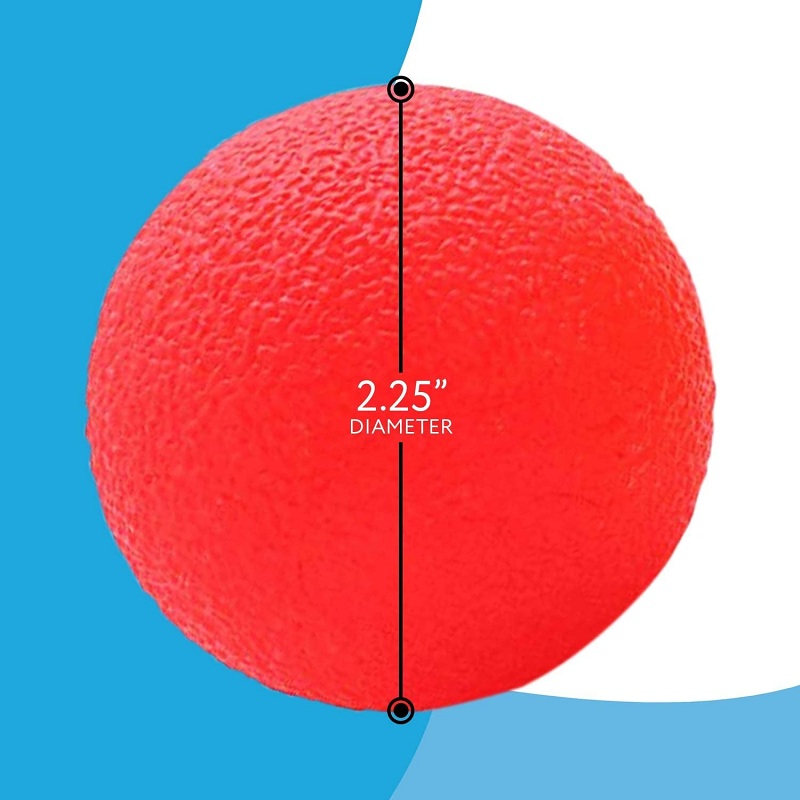 Poignée en forme d'œuf, balle  - Home Gym Garden avis et prix